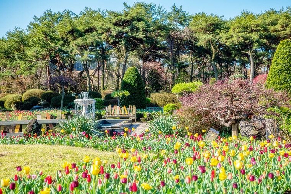 Byeokchoji Gardens (벽초지수목원)