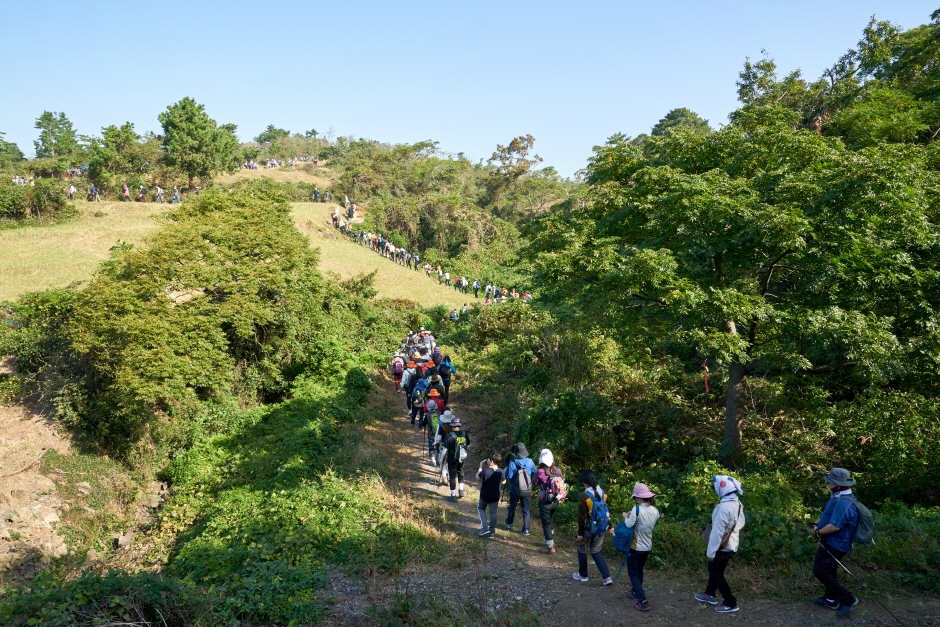 Jeju Olle Wanderfestival (제주올레걷기축제)