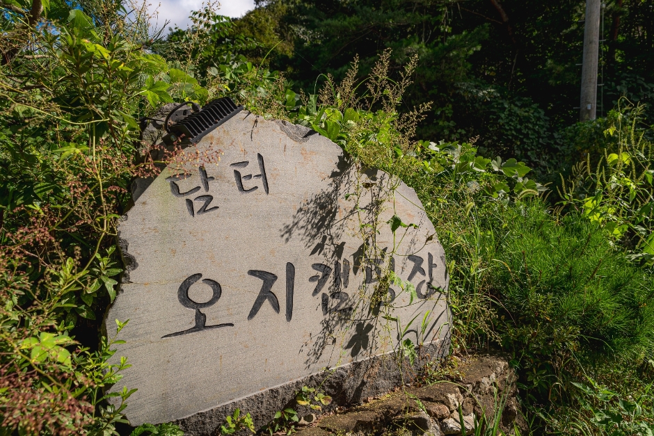 담터오지캠핑장