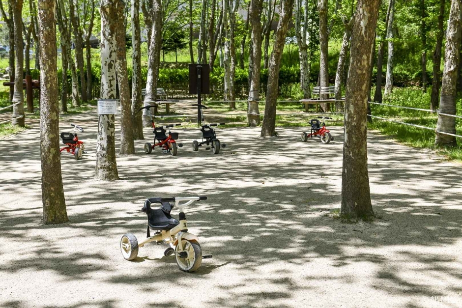 thumbnail-하남 나무고아원-17