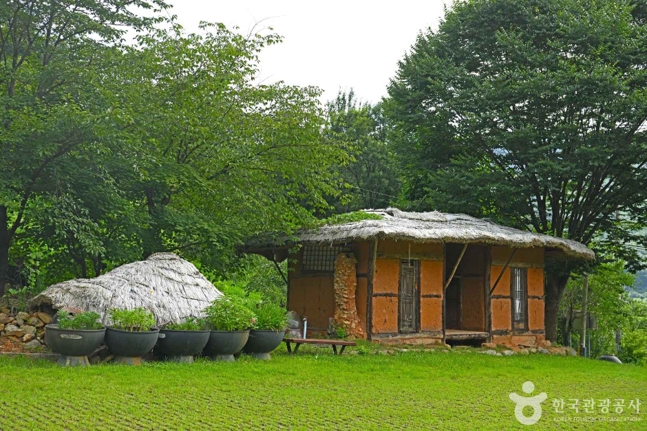 봉조농촌체험학교 (6)