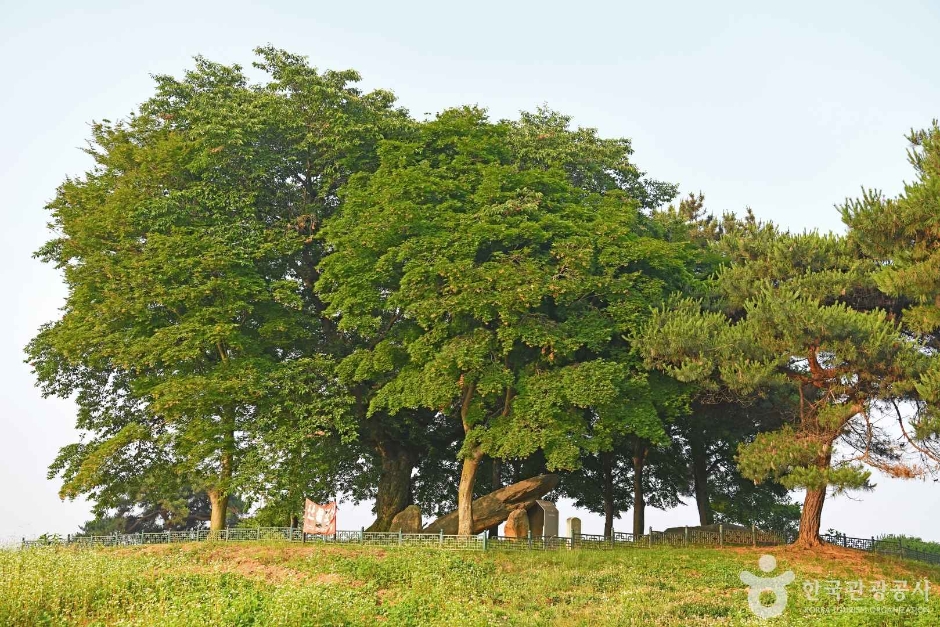 부여 산직리지석묘