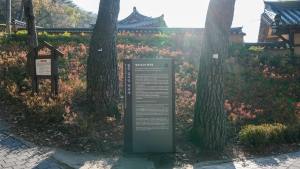 금시당 (6)