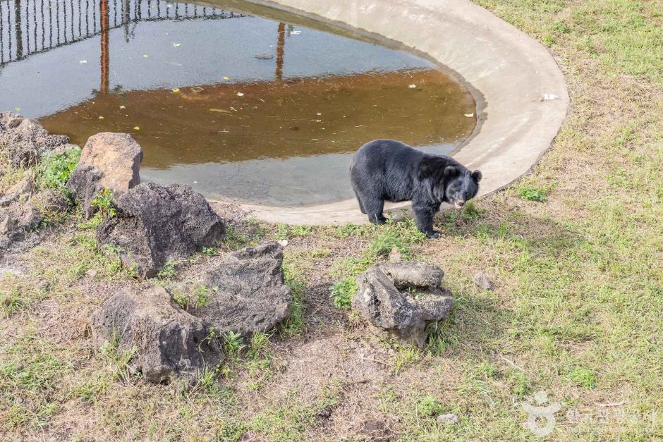 thumbnail-제주자연생태공원-5