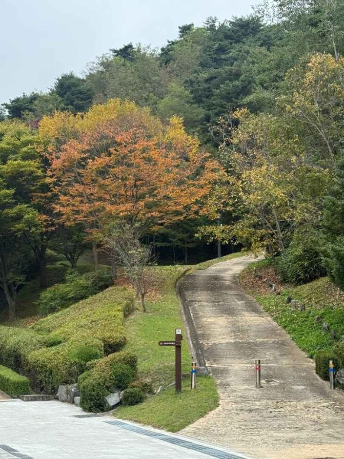 안동_경상북도 산림과학박물관 (2)