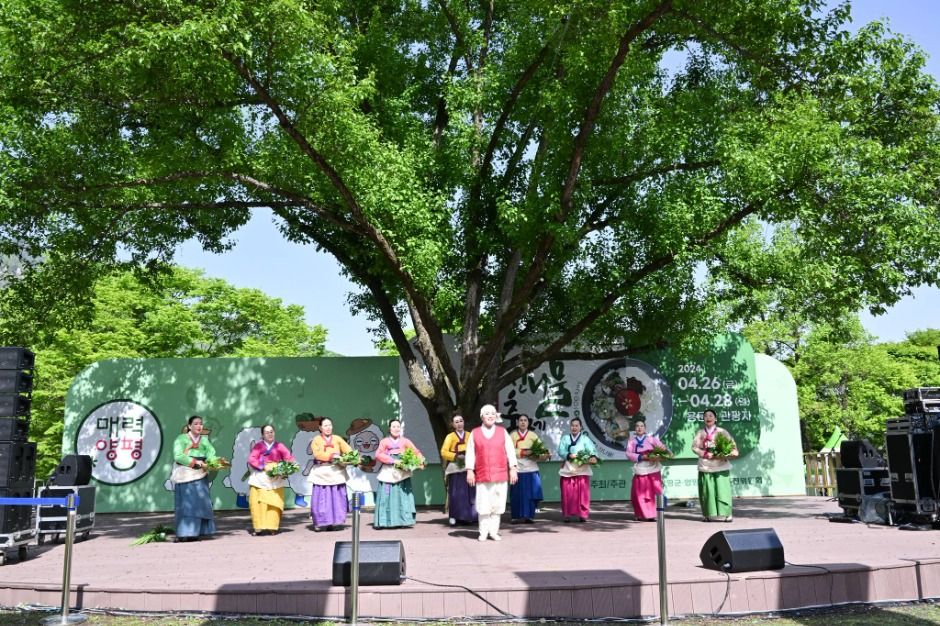 2025 양평 용문산 산나물축제 3