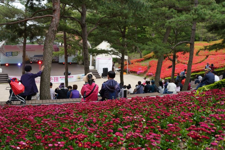 thumbnail-청남대 봄꽃축제 영춘제-26
