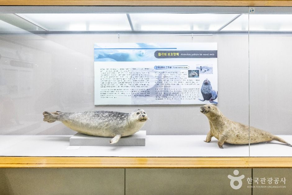 부산_부산해양자연사박물관 (9)