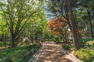서울_도산공원 (4)