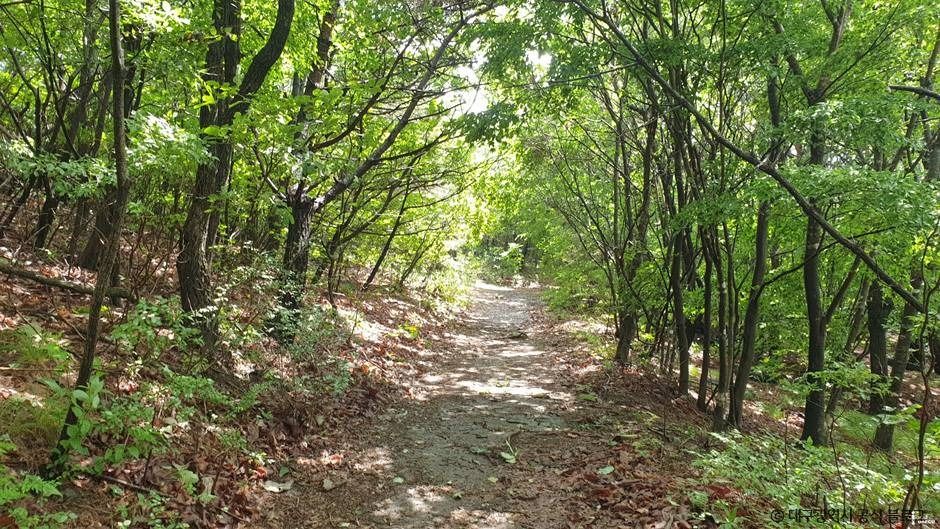 대구_최정산 (4)