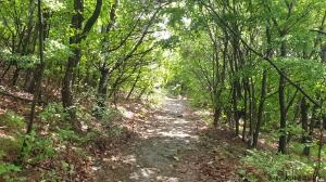 대구_최정산 (4)