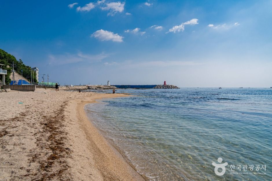 청간해변