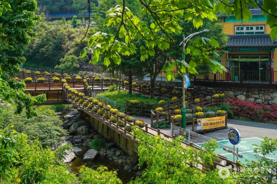 대구_앞산자락길 (2)
