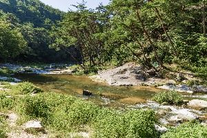 봉화_석천계곡 (2)
