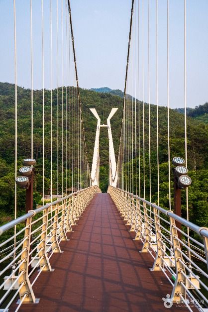대황강출렁다리 (2)