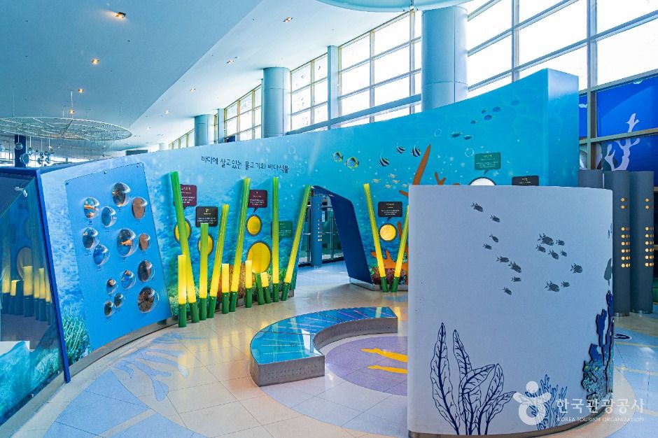 목포_목포어린이바다과학관 (3)