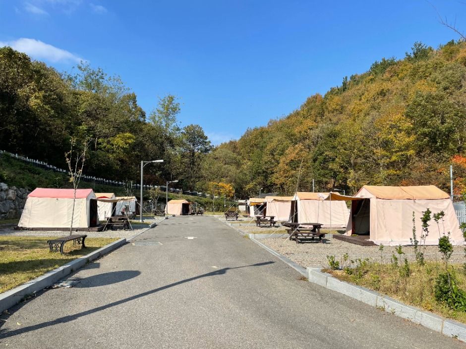 전월산국민여가캠핑장