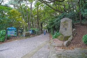 부산_태종사 (1)