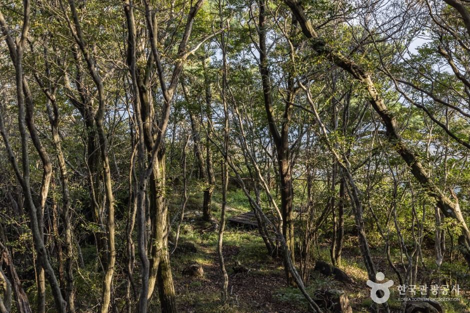 호구산군립공원