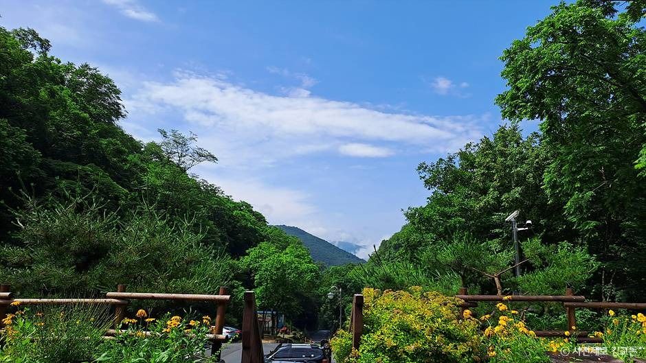 thumbnail-국립두타산자연휴양림-9