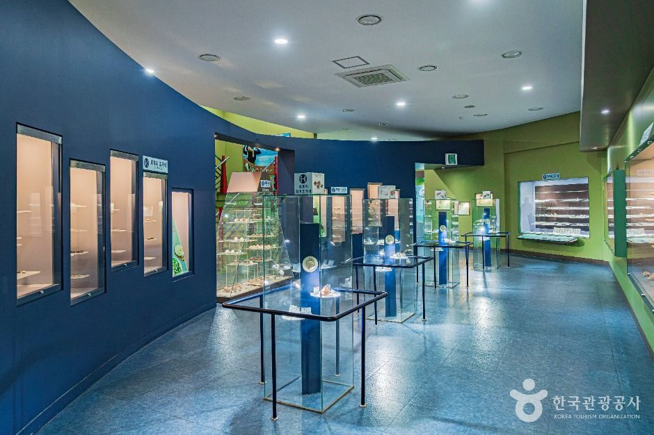 진도_진도해양생태관 (3)