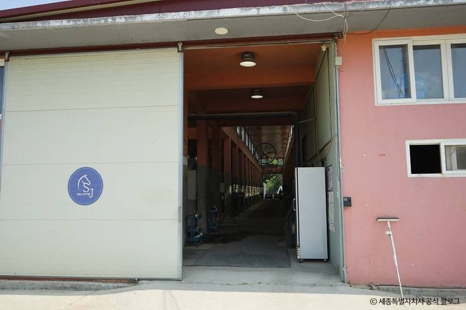 세종_세종스테이블 (2)