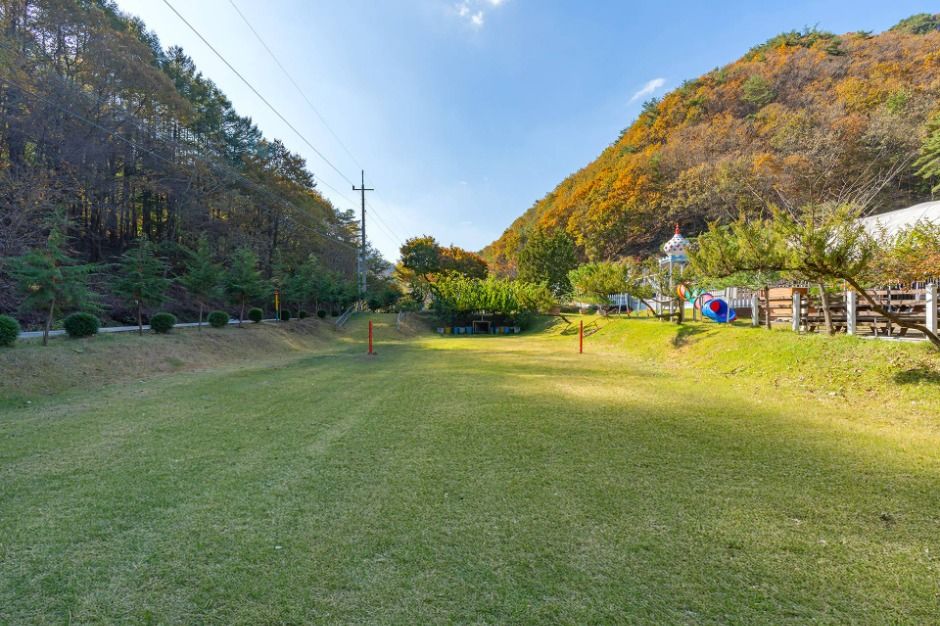 보은_산모랭이풀내음 (2)