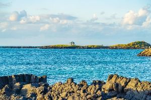 제주_다려도 (1)