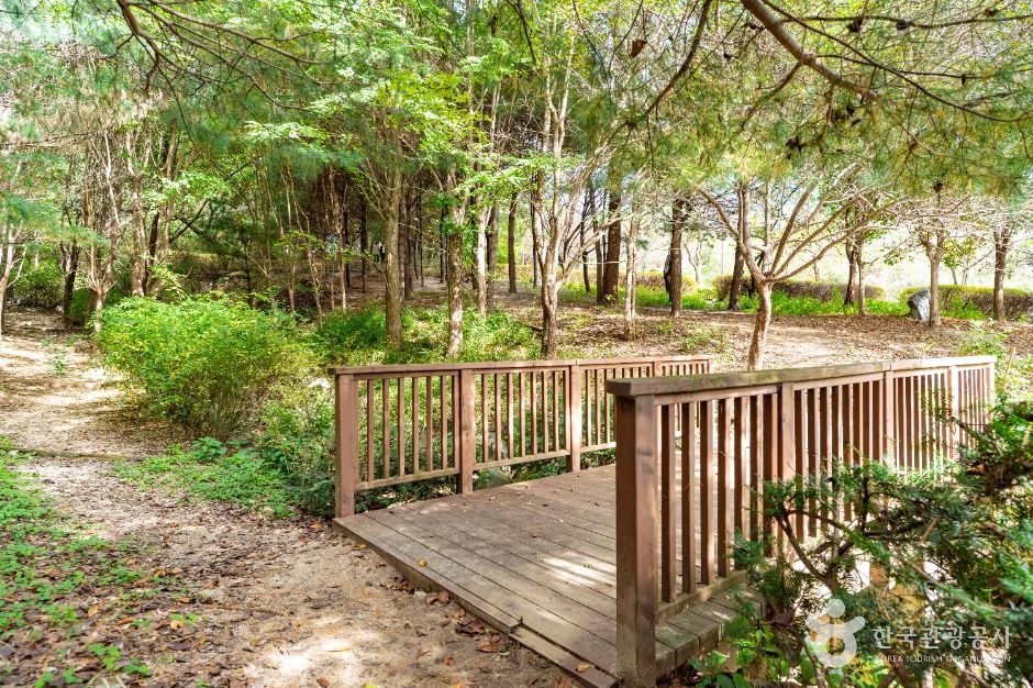 서울_봉화산근린공원 (2)