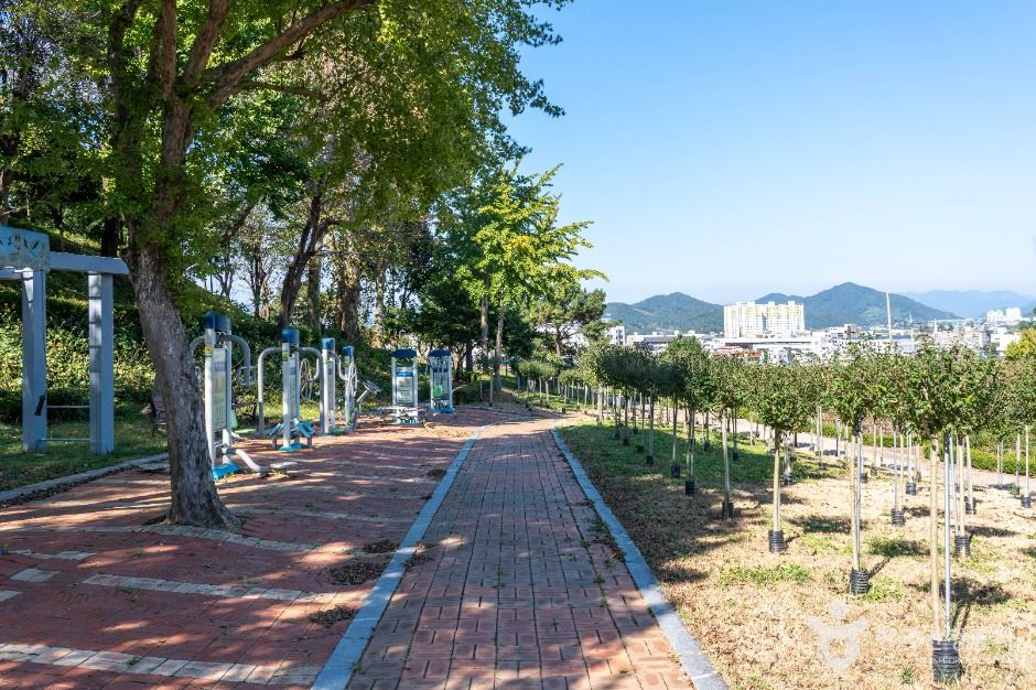 장성무궁화공원