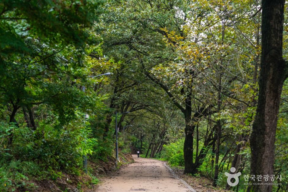 [대구올레 팔공산 6코스] 단산지 가는 길