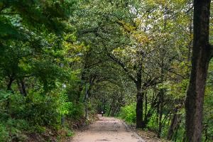 [대구올레 팔공산 6코스] 단산지 가는 길