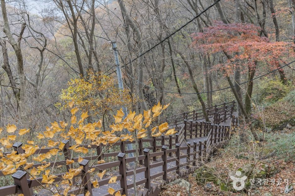 thumbnail-추월산-4