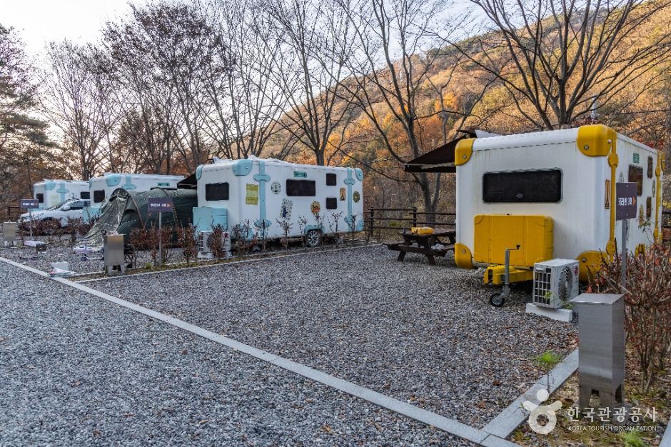 임실_왕의숲 국민여가캠핑장 (7)