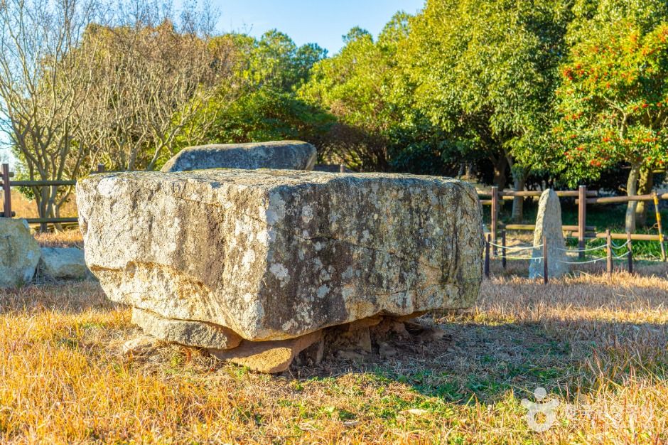 완도_읍리지석묘와 하마비 (6)