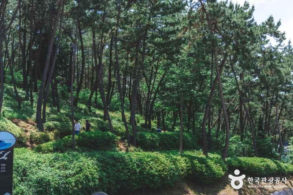thumbnail-해양드라마세트장 ( 촬영지)-23