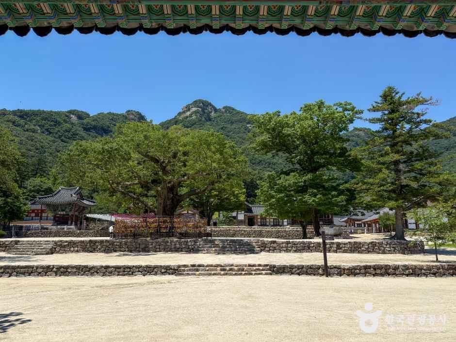 thumbnail-내소사(부안)-21