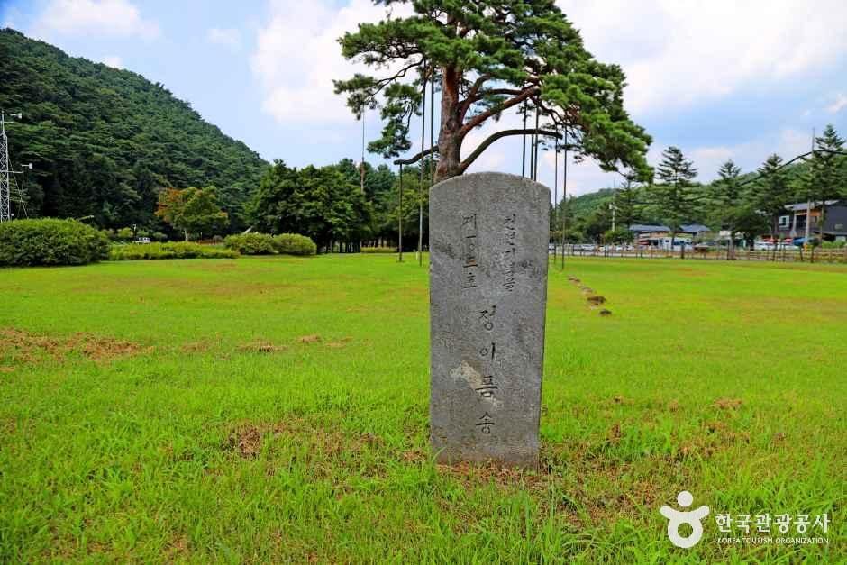 thumbnail-보은 속리 정이품송-10