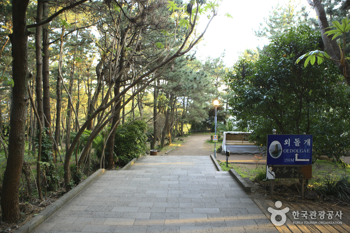 [제주올레 7코스] 서귀포-월평 올레5