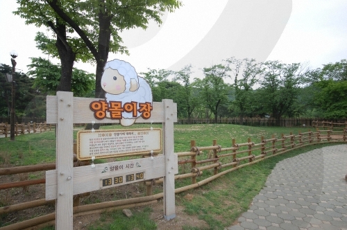 Seoul Grand Park (서울대공원-서울동물원)