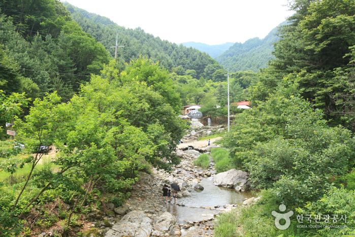 Bosque Recreativo del Monte Kalbongsan (칼봉산자연휴양림)