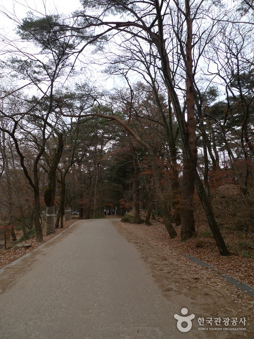 Beopjusa Temple (충북 법주사)