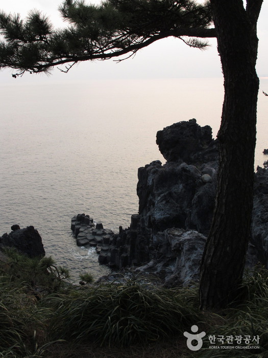 Daepo Jusangjeolli Cliff (주상절리대(대포동지삿개))