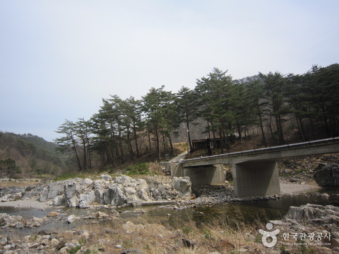 왕피천생태탐방로 사진10