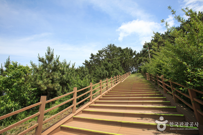 Daewangam Park (대왕암공원)