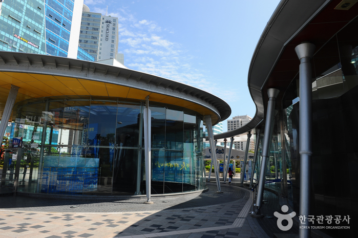 Busan Aquarium (부산아쿠아리움)