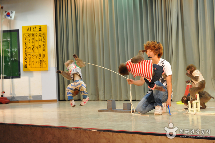 Monkey School (원숭이학교)