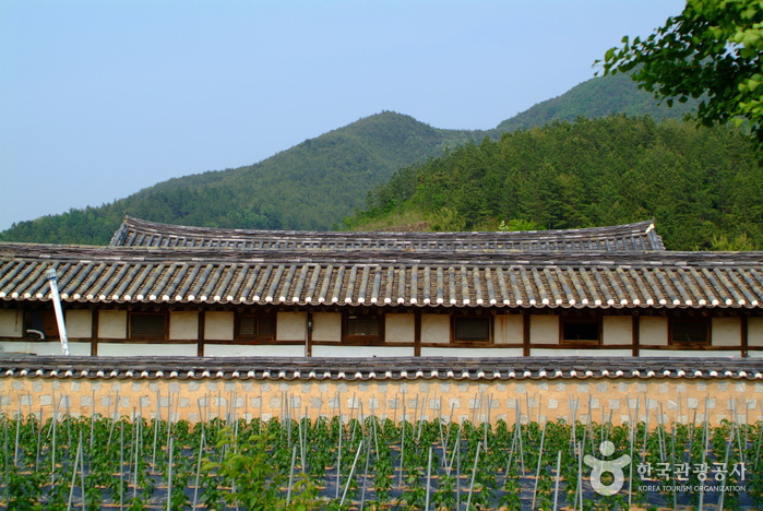 Suaedang (수애당)