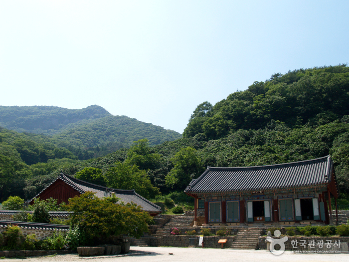 고창하면 떠오르는 두가지