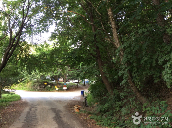 오크스톤펜션(둥지가온빌)1